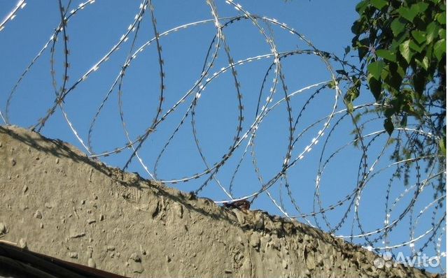 Егоза. Колючая проволока и Егоза НИЗКИЕ цены от производителя