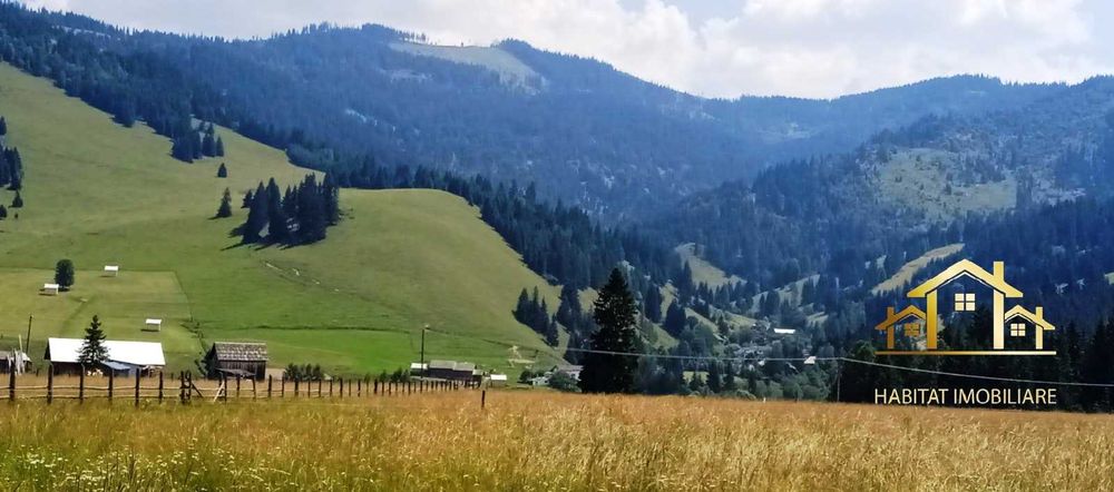 Teren la munte cu o suprafata totala de 2.000 mp, format din 2 PARCELE