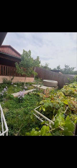 Proprietate deosebită în centrul Zalăului | 17 ari | Oază de liniște, verdeață și potențial unic