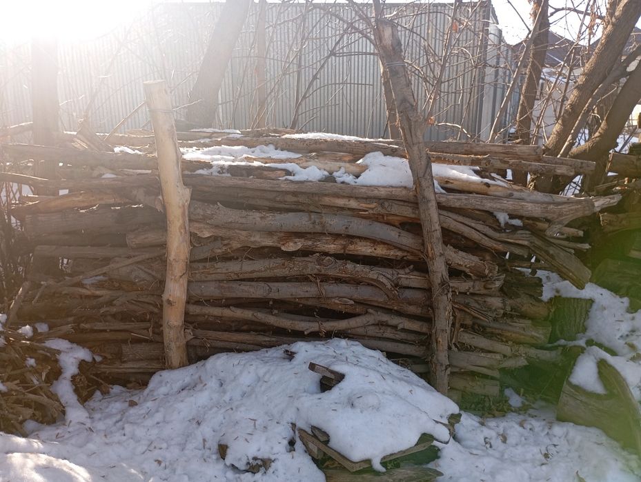 Отын дрова самовывоз