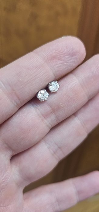 Серёжки гвоздики