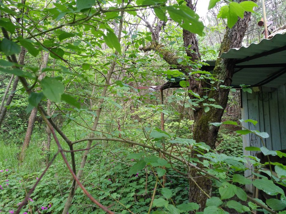 Продава се Парцел в с. Луково, Област София-област - 850 кв.м за 24 €/кв.м - Снимка #8