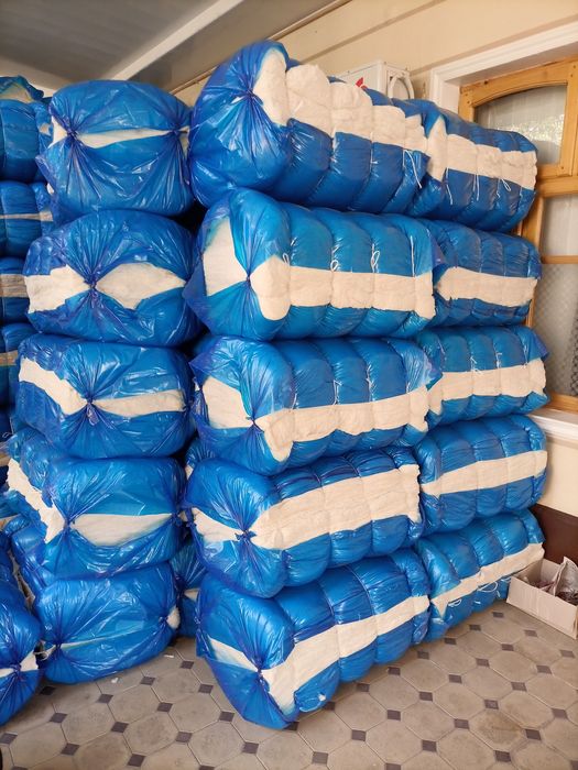 Пахта у́птум пахта завотдан бринчи