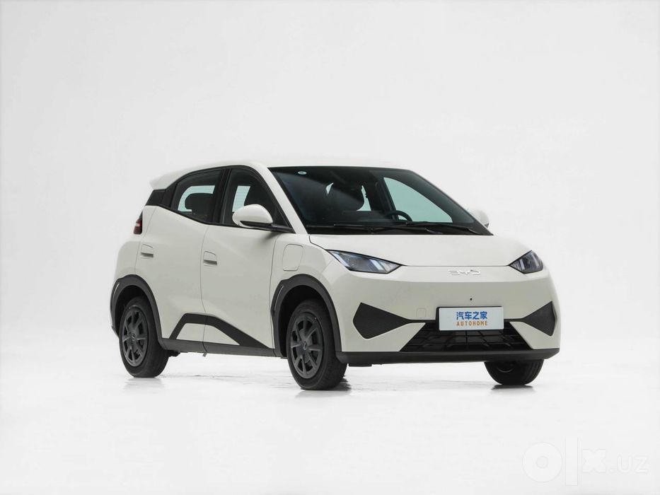 Byd seagull 2026