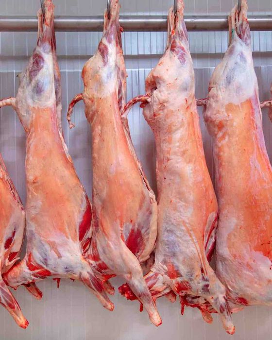 Қўй сўйиш хизмати | Тошкент | 145 000 сўм тоза гуштига