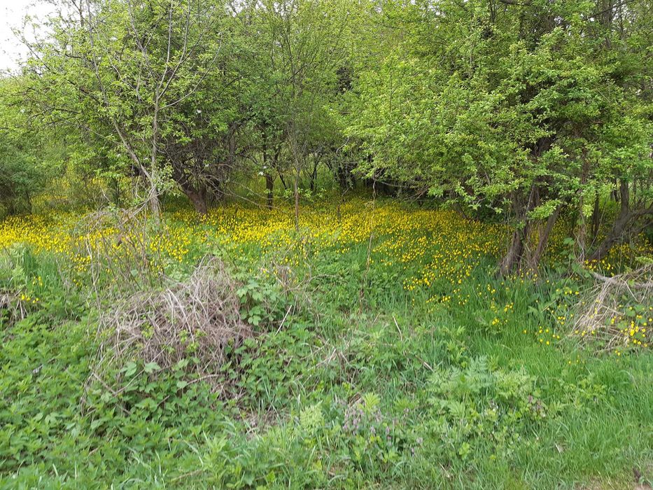 Продавам къща с парцел
с. Звезда, Търговище