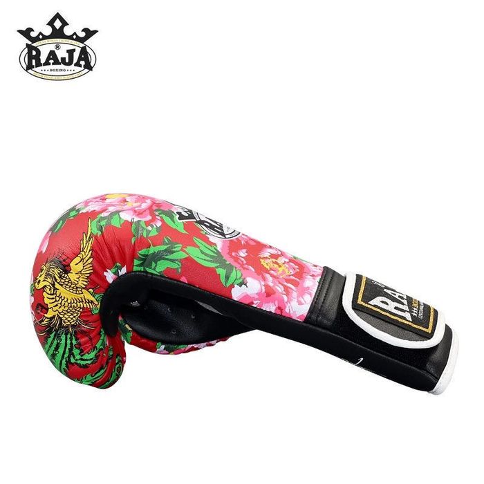 Перчатки боксерские Raja boxing