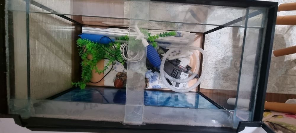 Продаётся аквариум со всеми атрибутами