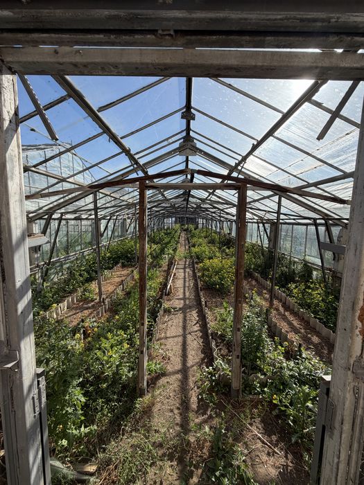 Продам теплицы, парники 150квадратов