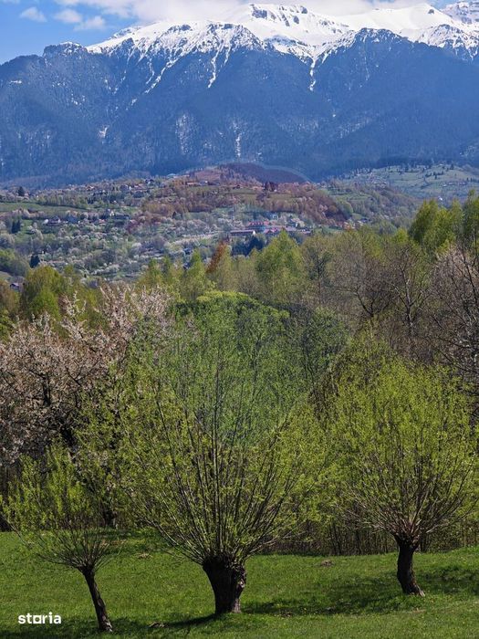 Ocazie! Teren 2885 mp Bran- Predelut / Strada Pe Tarina nr. 70A