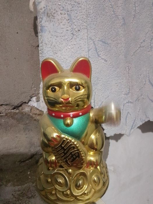 Продам кошку Моне манако