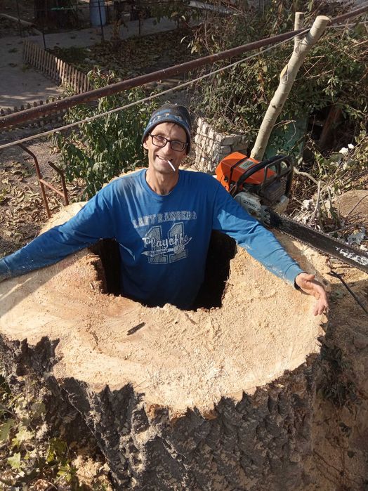 Спил деревьев,санитарная обрезка.