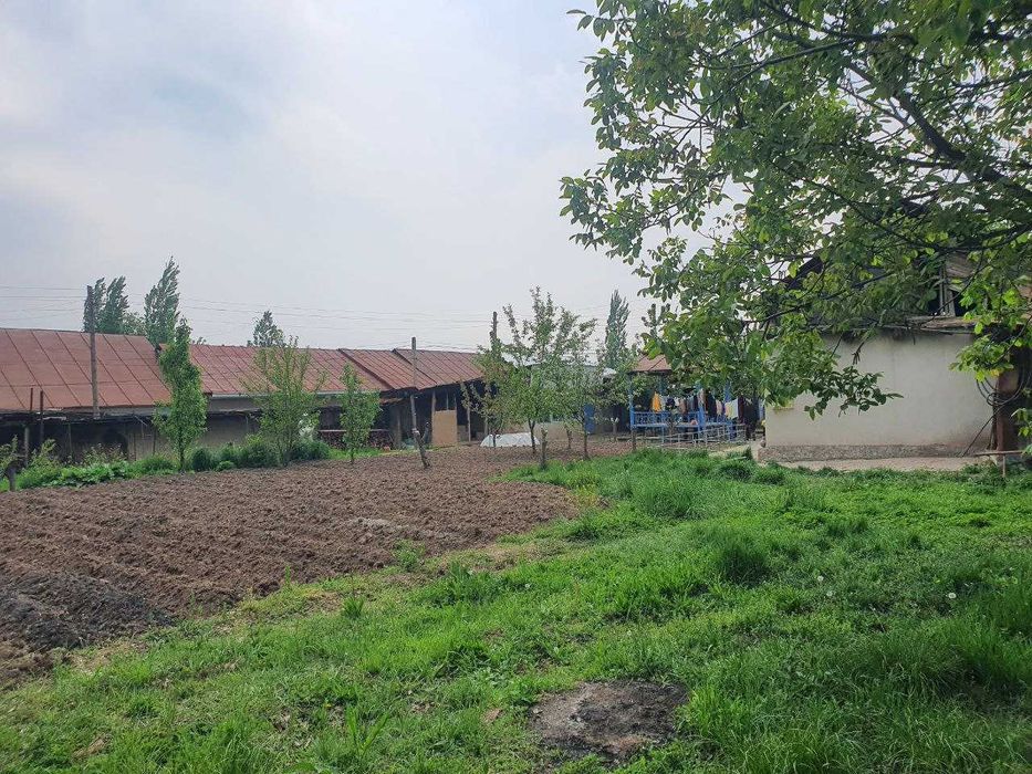 Продается участок Сижжаке Бустанлик. Сижжакда уй сотилади