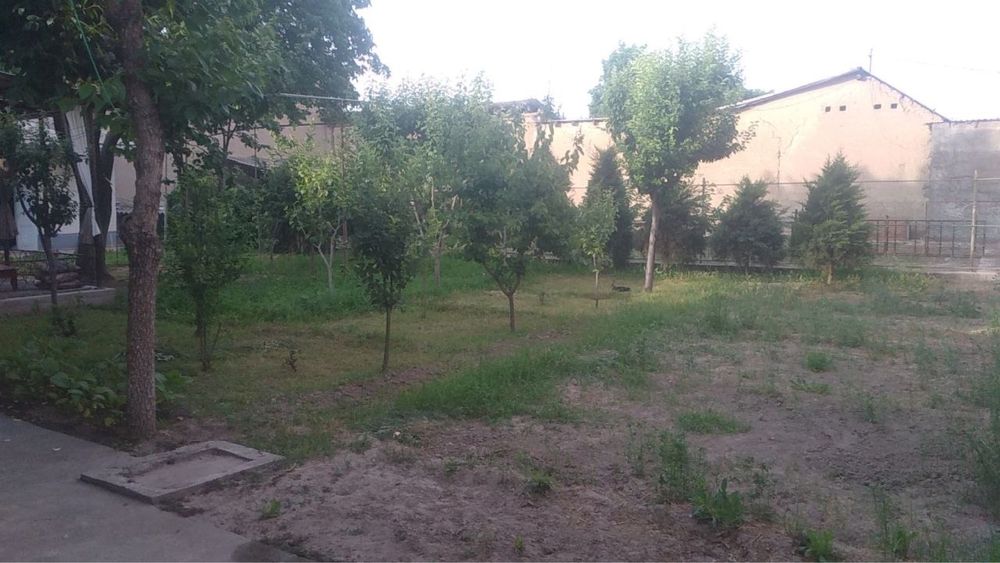 Жилой дом с участком
