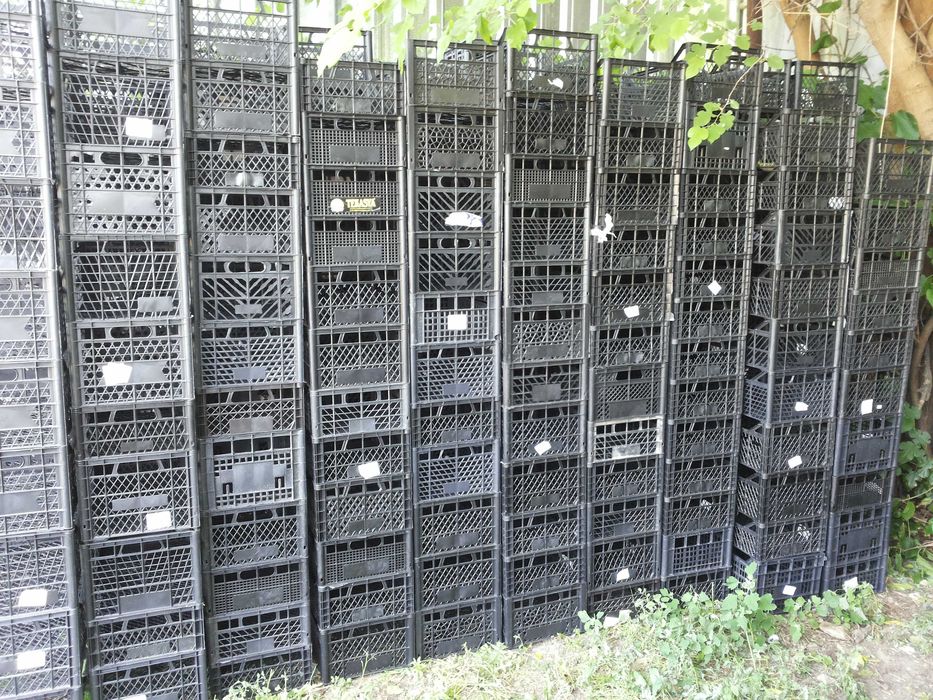 Ladite plastic pentru legume si fructe