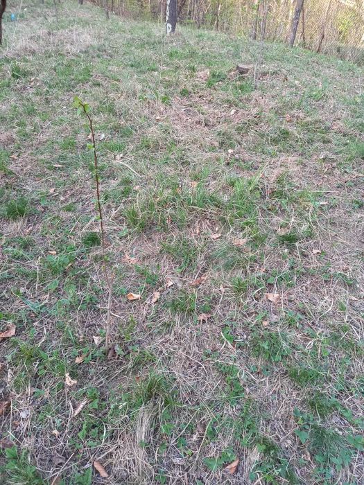 Oportunitate! Teren de vanzare