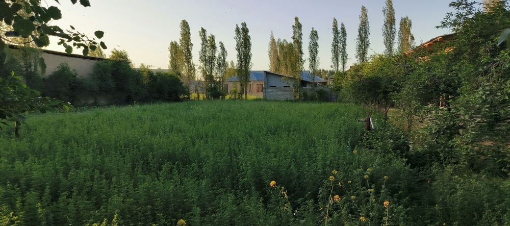Sa.arqand viloyat jomboy tumani trassa chetida yer uchastka sotiladi