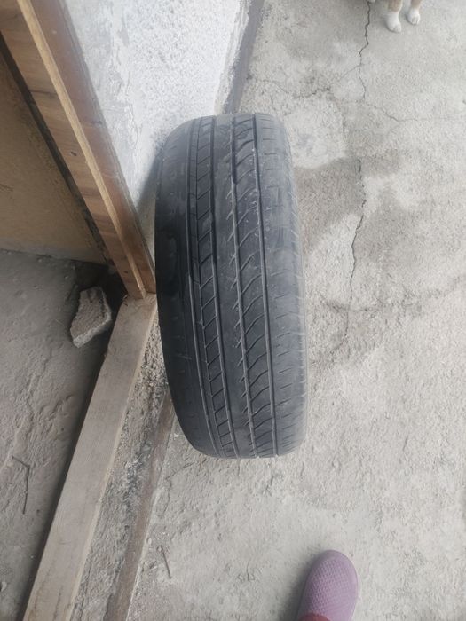 Шина летни  рлдщл