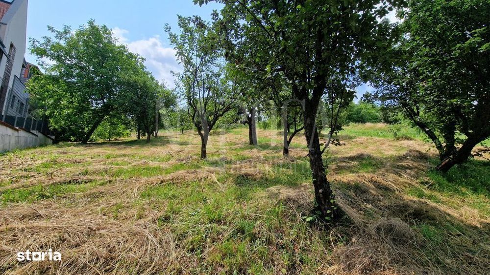 Teren intravilan pentru constructii de vanzare in Zorilor, Cluj Napoca