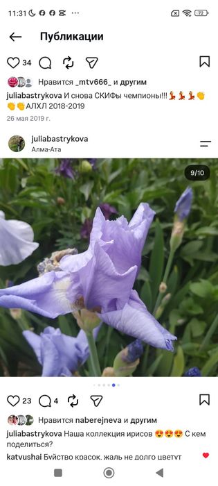 Клубни ириса продам