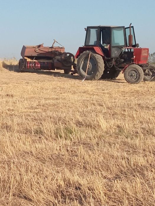 Prespadborchik kirgizistan