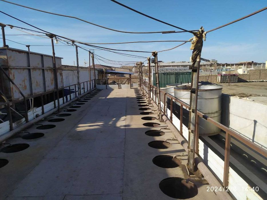 экстракционный завод