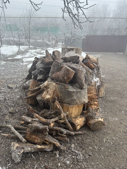 Дровы,Отындар,Томарлар