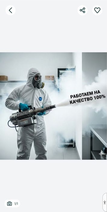 Дезинфекция от 5000