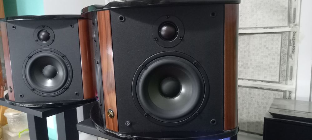 Акустика swans diva 4.2