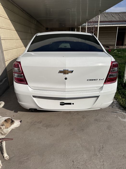 Cobt yangi oq rang sotiladi