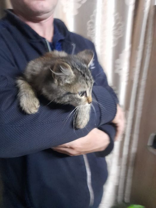 Мальчик в добрые руки