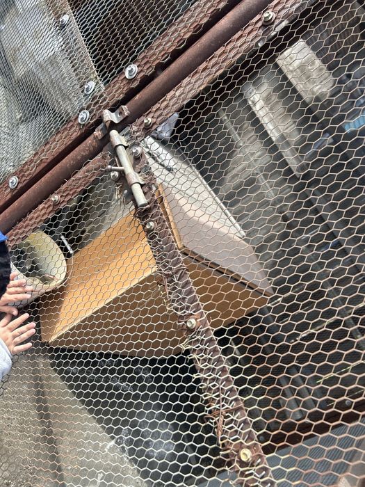 Вольеры для собак