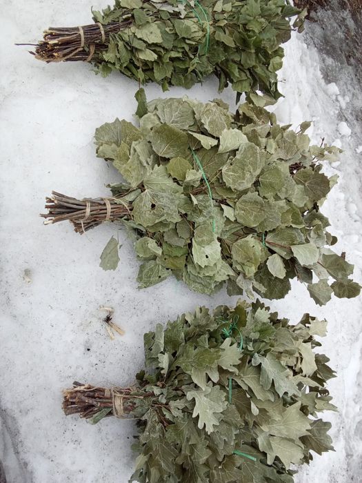 Банные веники березовые, дубовые