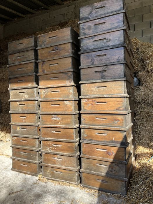 Кошери Дадан-Блат