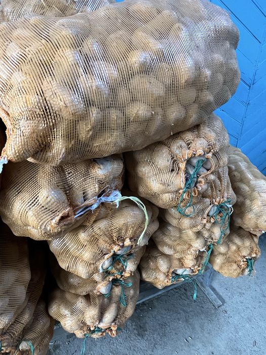 Картошка сатылады