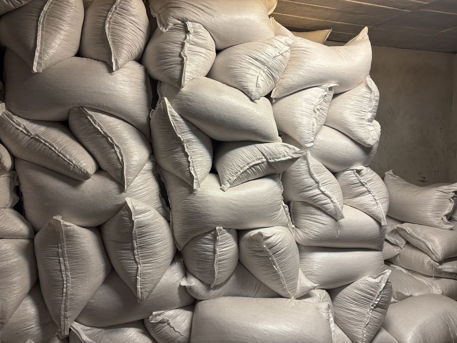 Porumb, ambalat la sac de 40 kg