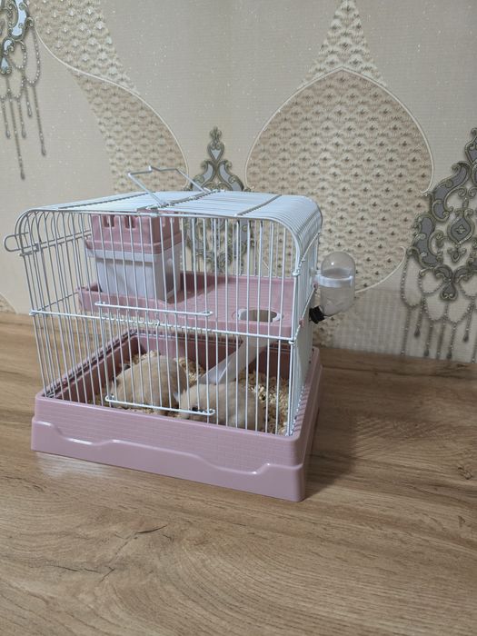 Клетка + 2 хомяка девочки