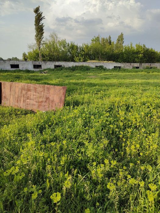 Курук Ер участка