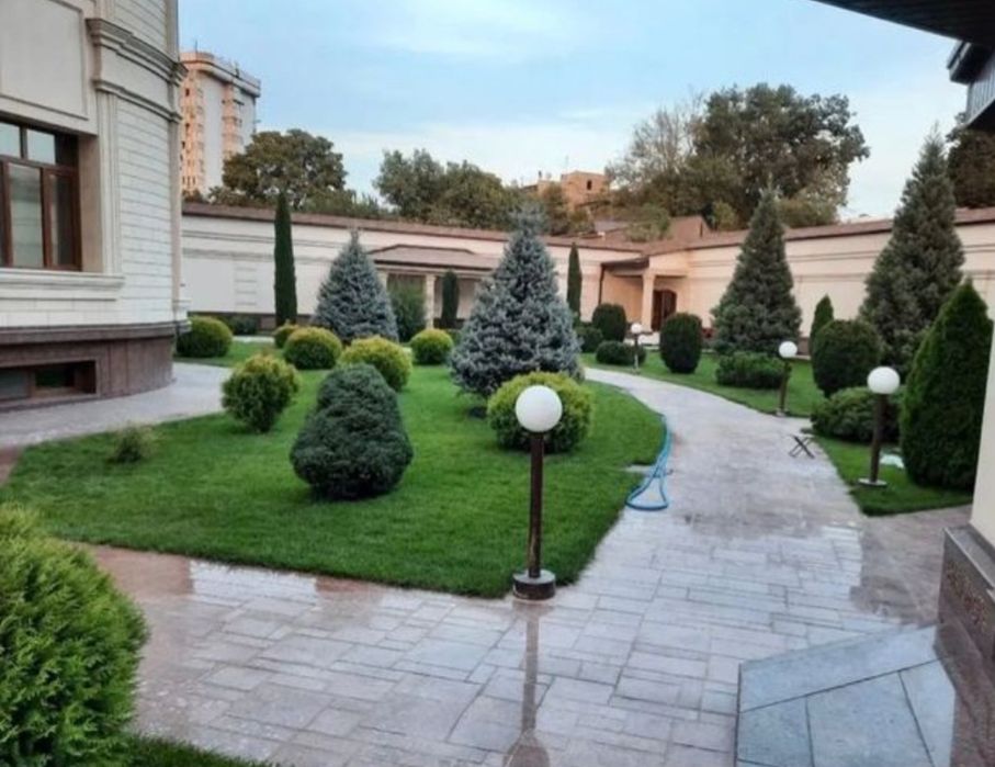 Газон-посевной рулонный полив микроклимат