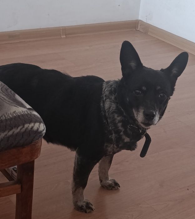 Помогите найти дом