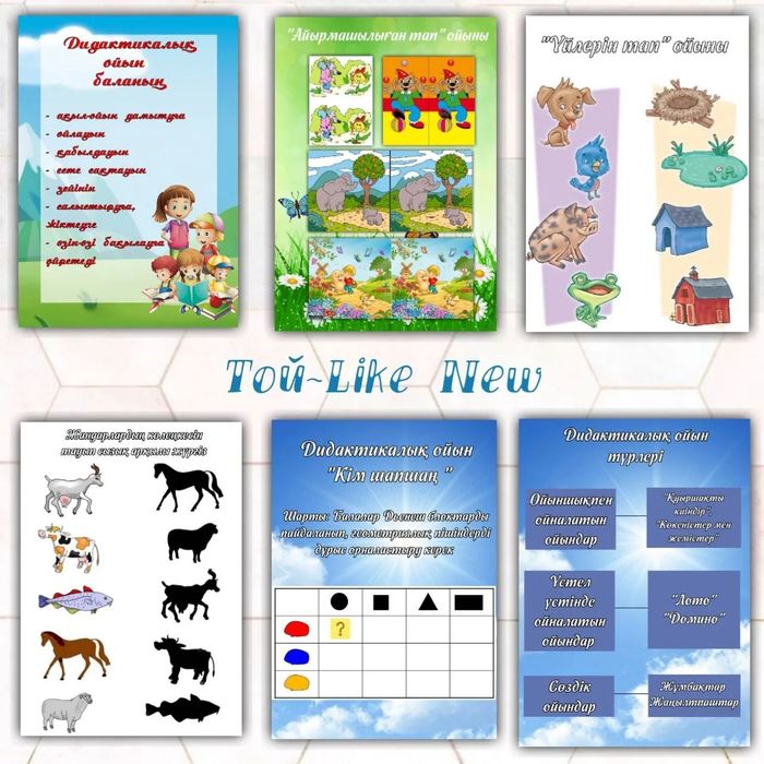 Дидактические материалы