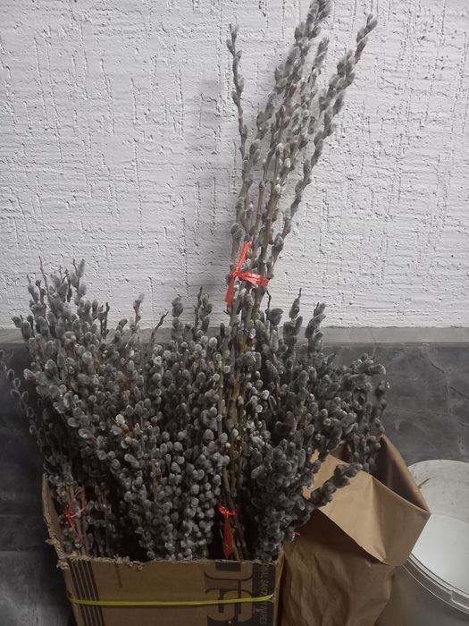 Букеты из вербы свежие