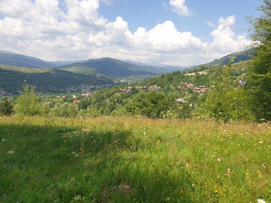 Teren intravilan Valea Doftanei