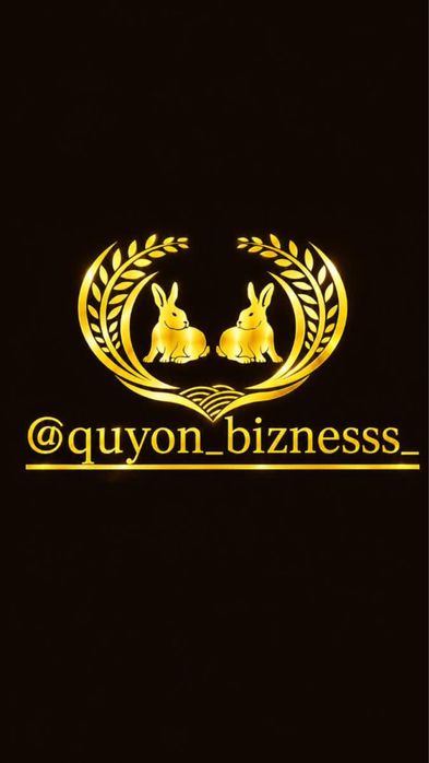 Quyon karlik mini lops