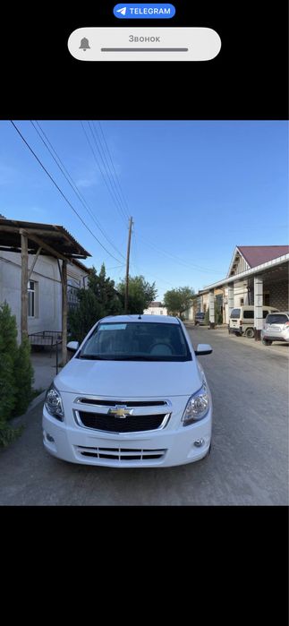 Кобалт стайл вариант бир кунлик урганчда