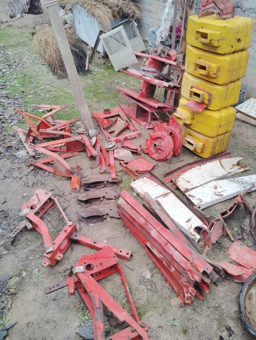 Daichi selka zabchastka