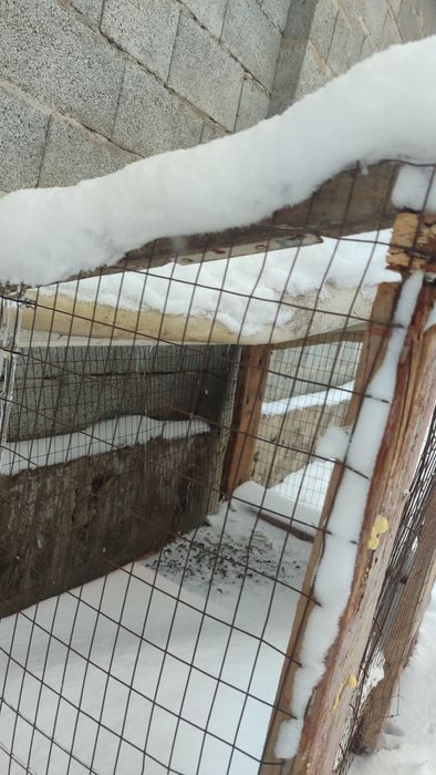 Барьер для кроликов