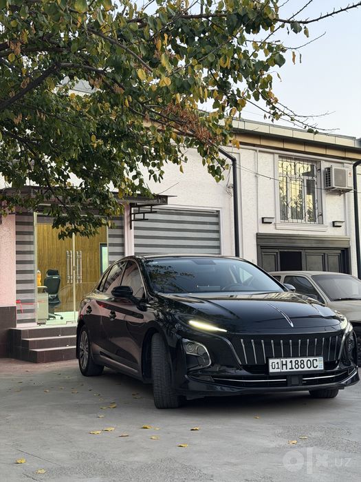 Hongqi eqm5 450km