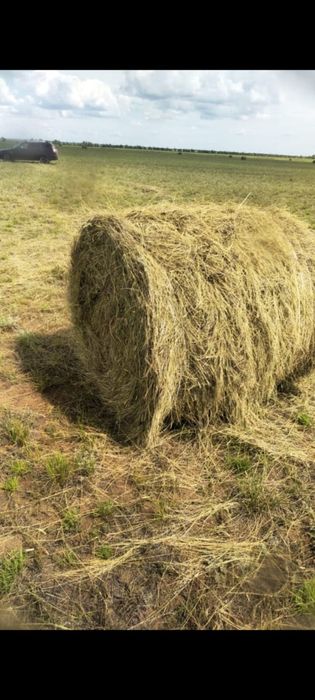 Продам сено рулоны.