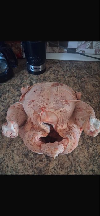 Мясо бройлера домашнее